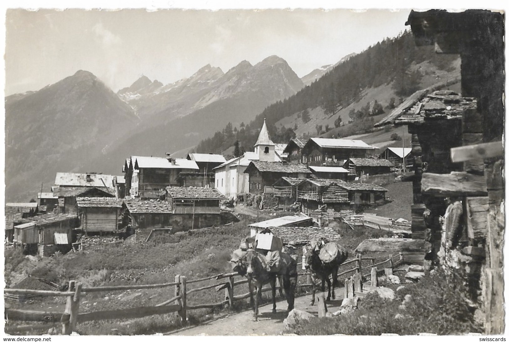 WILER Lötschental: Maulesel-Transport Am Dorfeingang 1940 - Wiler