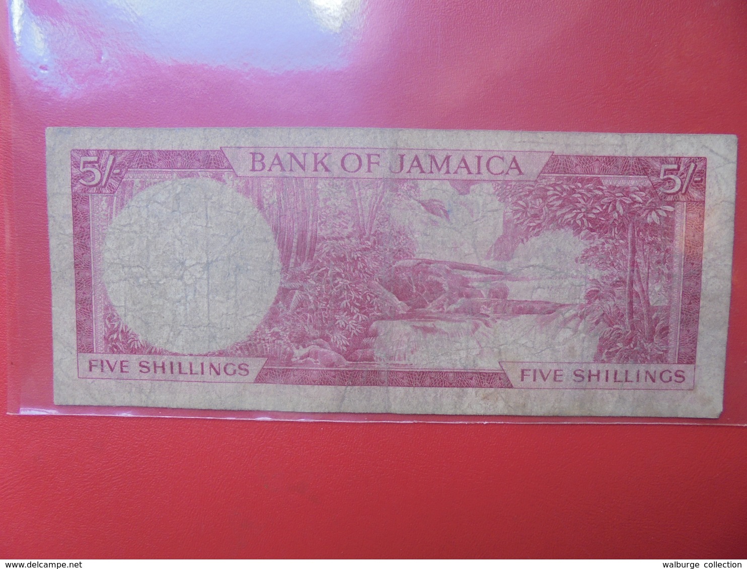 JAMAIQUE 5 SHILLINGS 1960-61 CIRCULER(B.12) - Jamaica