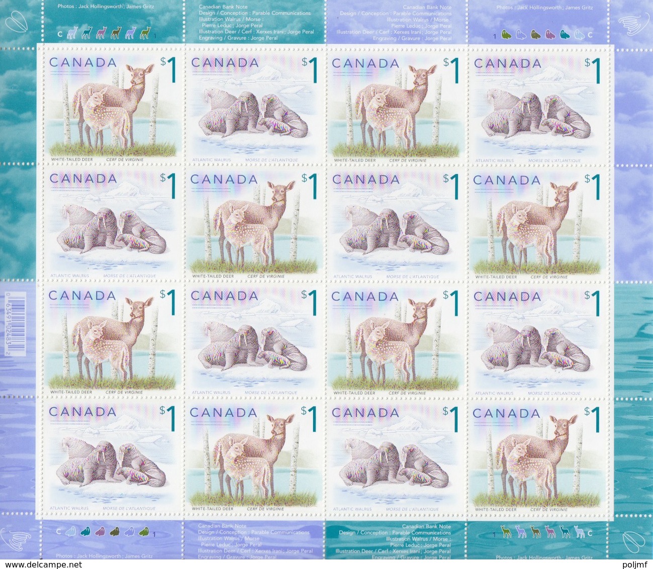 Canada, N° 2810 (Morse) Et 2811 (Cerf De Virginie) En Feuille De 16 X 2, Neuf ** - Faune Arctique