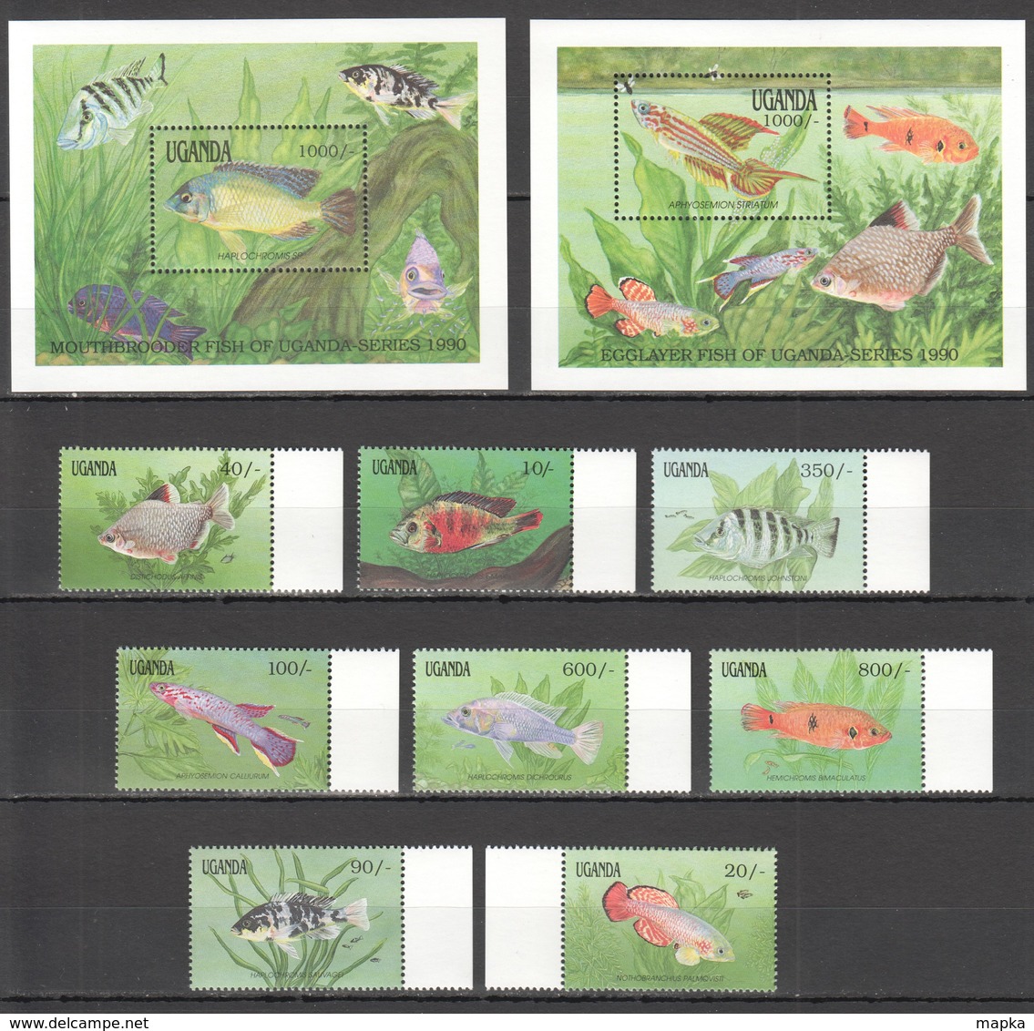 G424 1991 UGANDA FISH & MARINE LIFE UGANDA SERIES 1990 #873-80 !!! MICHEL 14 EURO !!! 1SET+2BL MNH - Marine Life