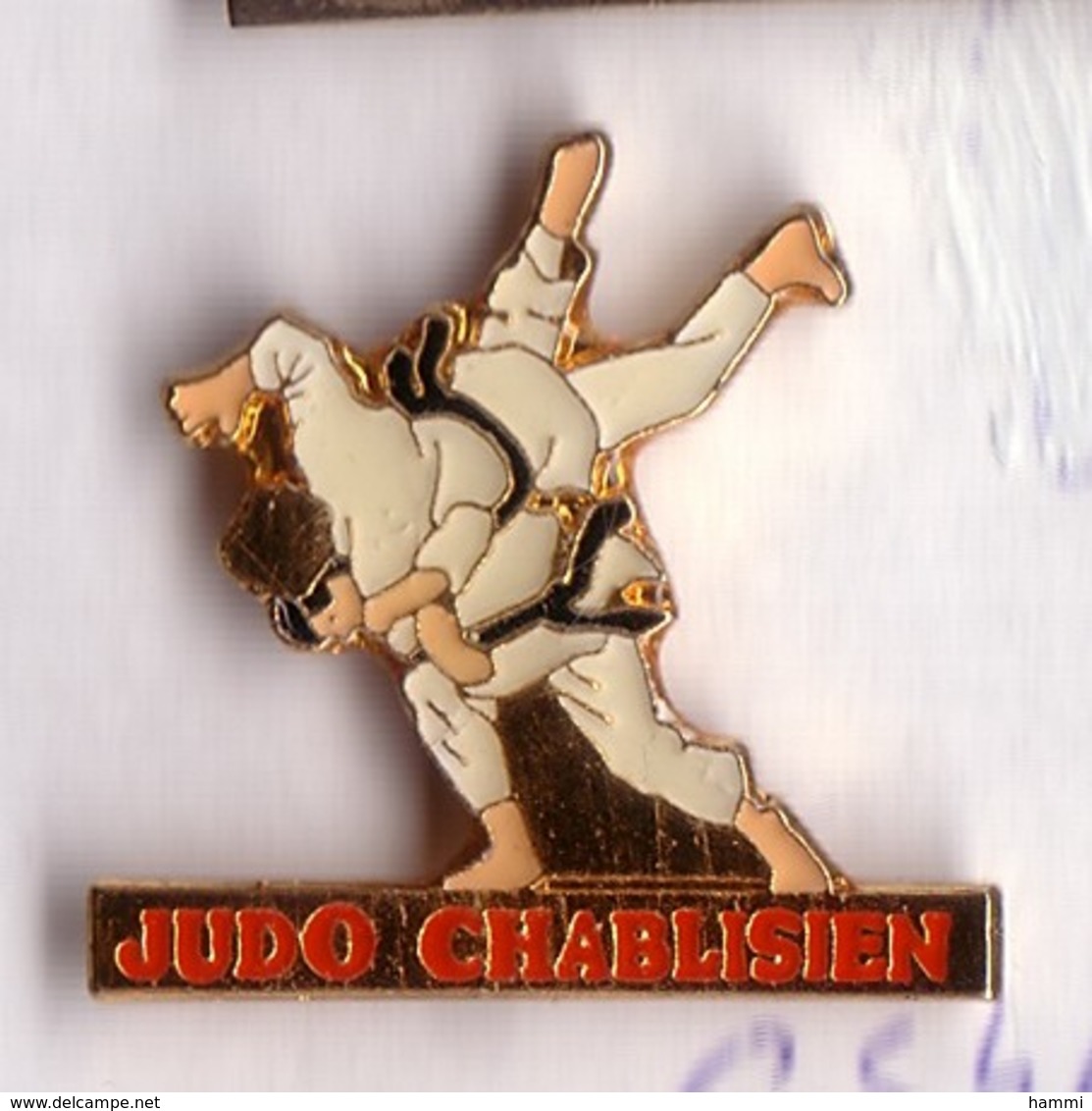 C54 Pin's Judo Chablisien CHABLIS Yonne BOURGOGNE Achat Immédiat - Judo