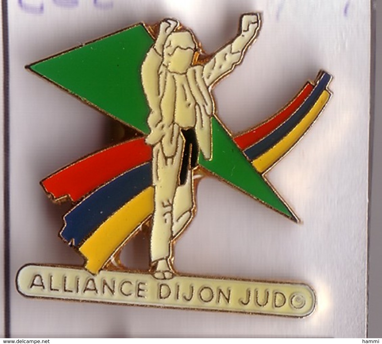 C62 Pin's Alliance Judo DIJON Cote D'Or Achat Immédiat - Judo