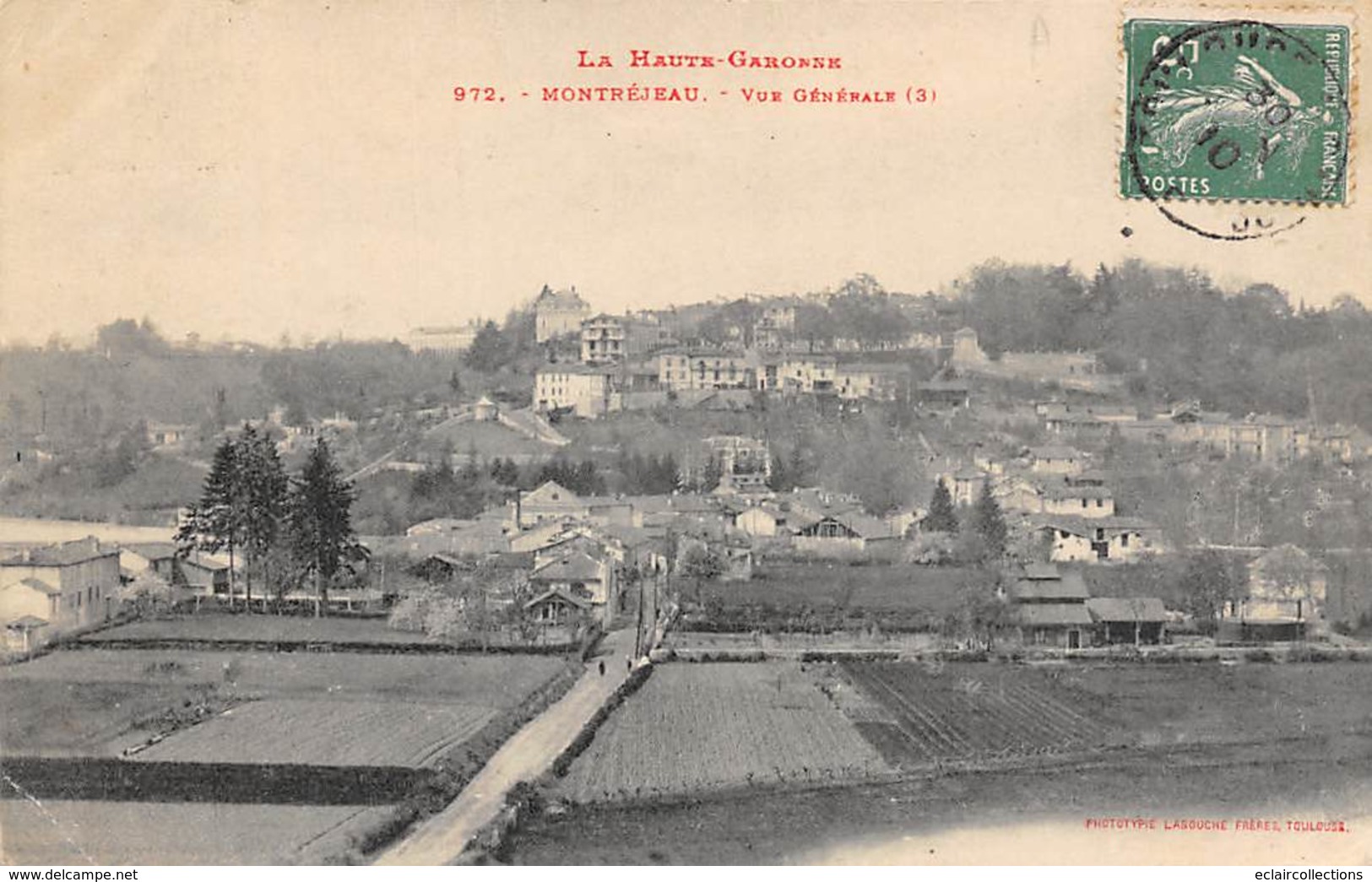 Montréjeau         31           Vue Générale    3         (Voir Scan) - Montréjeau