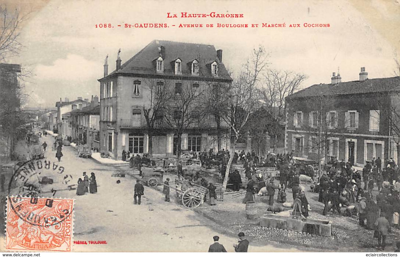 Saint Gaudens           31            Avenue De Boulogne Et Marché Aux Cochons       (Voir Scan) - Saint Gaudens