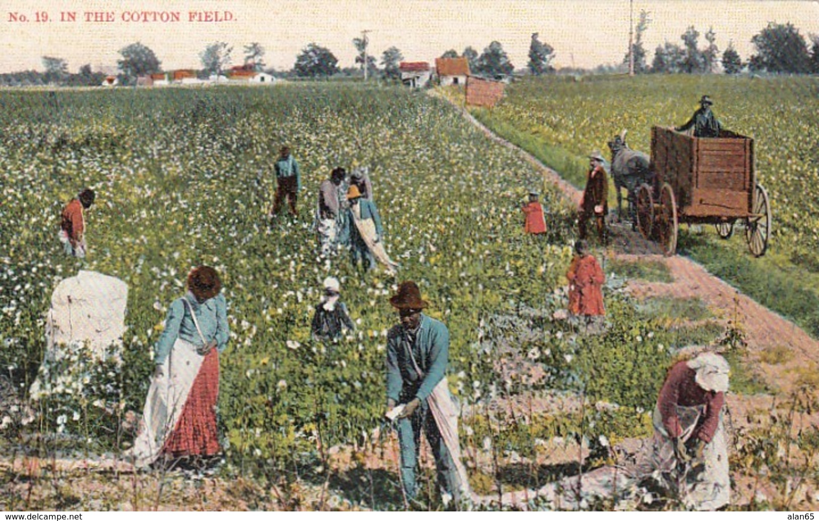 'In The Cotton Field' Black Americana Theme, African-Americans In The South, Agriculture, C1900s Vintage Postcard - Black Americana