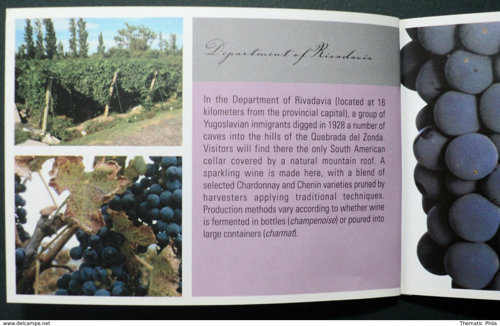 2006 Argentina Argentine Cuyo Booklet Stamps Mnh Viticultura Viticulture Raisin Uva Grape Vintage Vignoble Vin Wine Wein - Unused Stamps