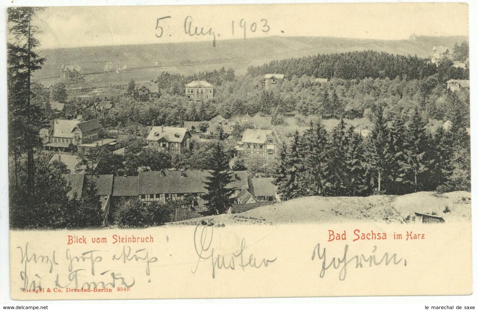 Bad Sachsa 1903 Blick Vom Steinbruch Harz Ansichtskarte - Goettingen