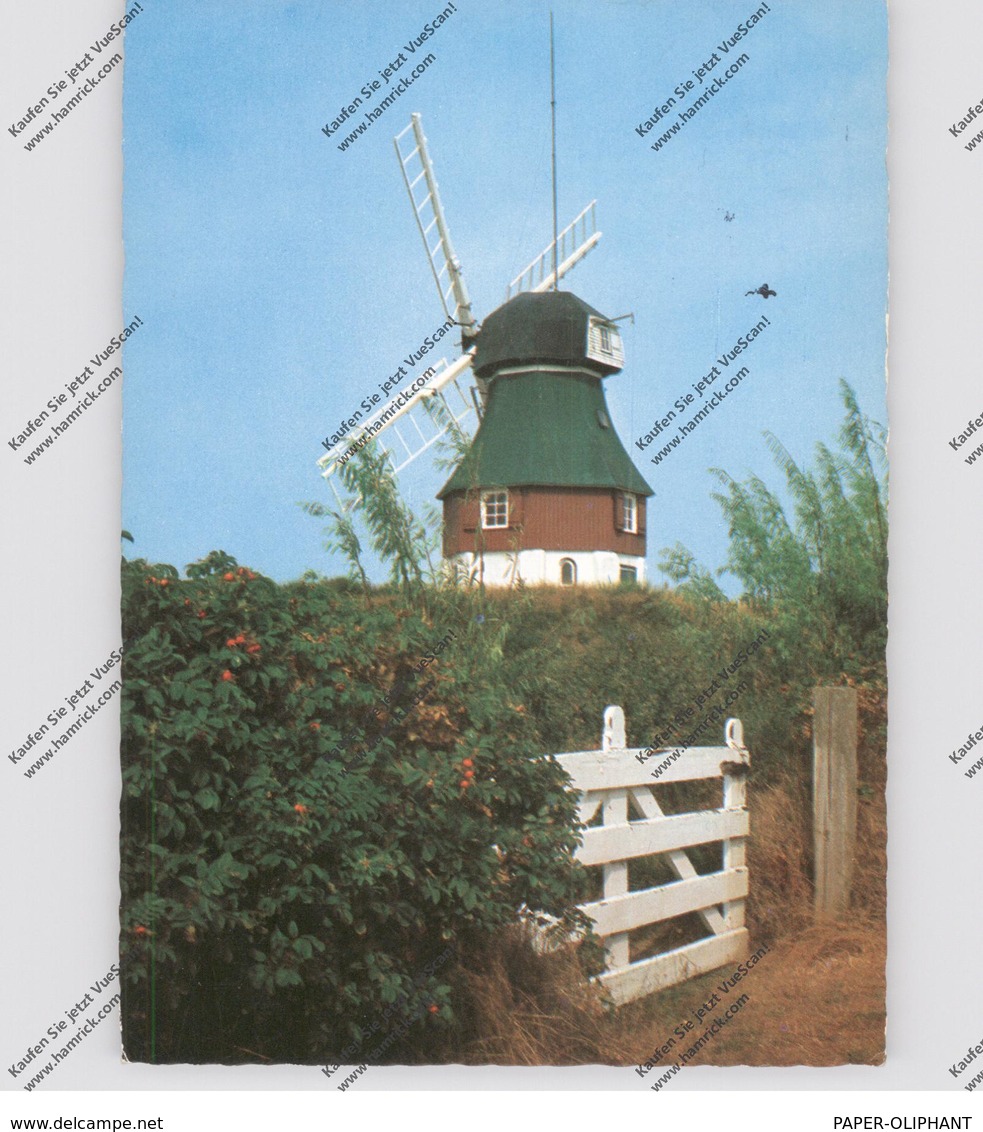 2278 NEBEL - SÜDDORF / Amrum, Windmühle - Nordfriesland