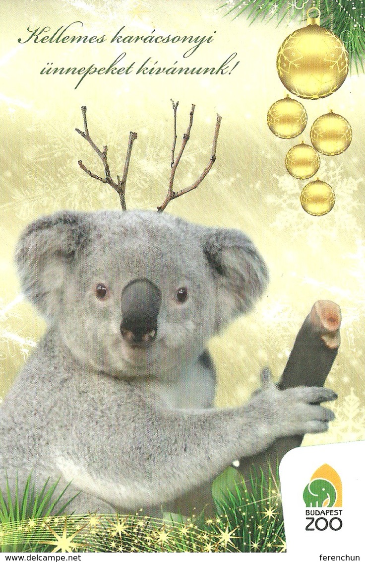 KOALA * KOALA BEAR * ELEPHANT * ANIMAL * ZOO & BOTANICAL GARDEN * CHRISTMAS * XMAS * Budapest Zoo 13 04 * Hungary - Otros & Sin Clasificación