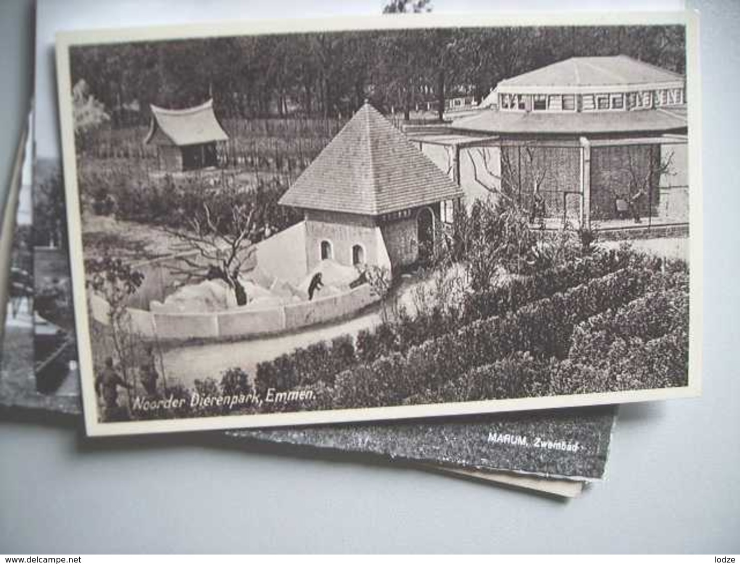 Nederland Holland Pays Bas Emmen Met Noorder Dierenpark Zoo Panorama - Emmen