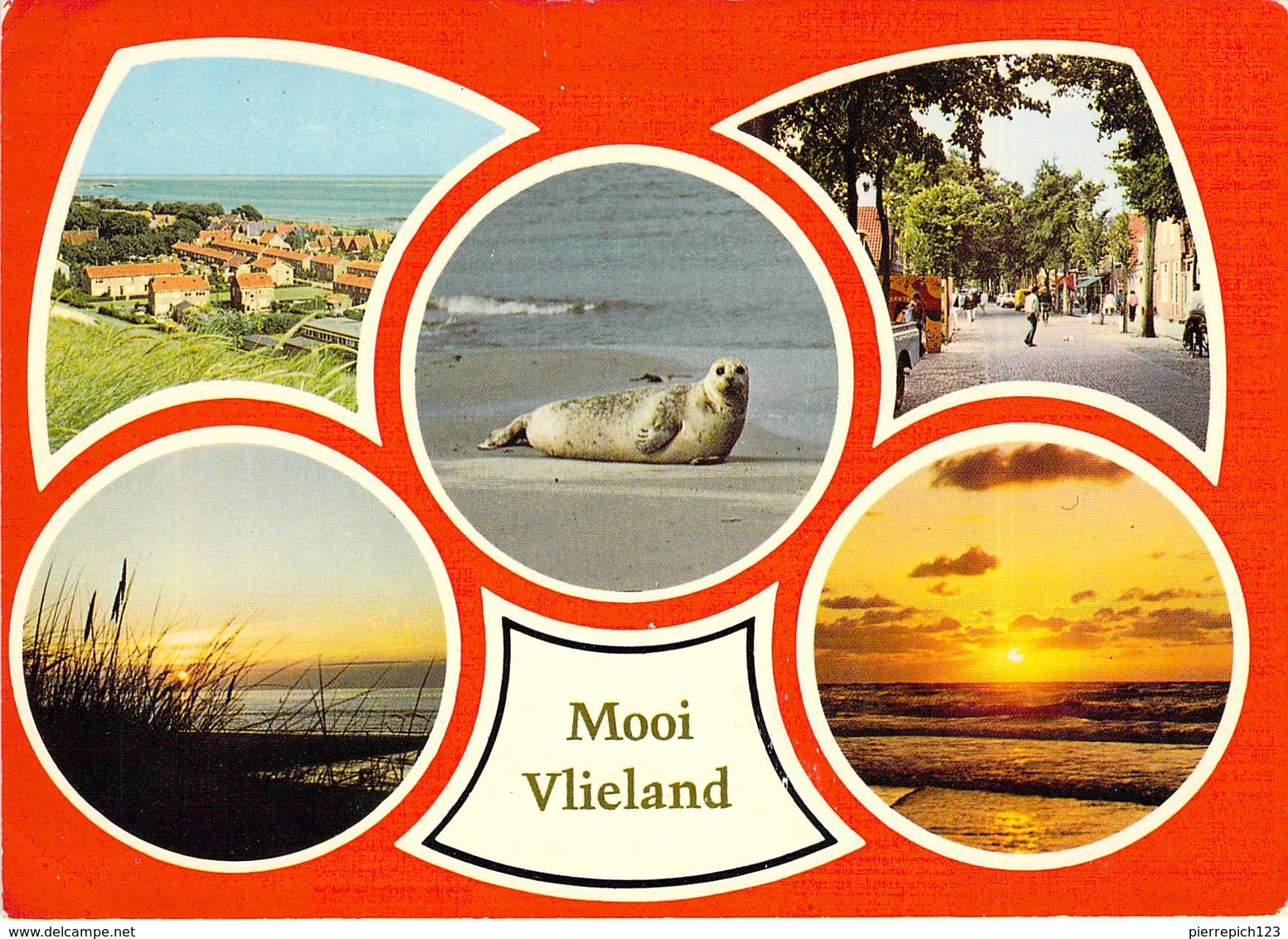 Vlieland - Multivues - Vlieland