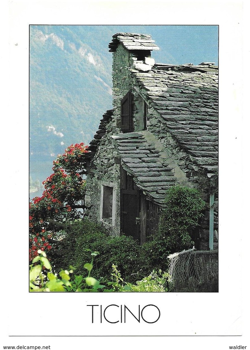 TI 6631  CORIPPO, VAL VERZASCA  1980 - Verzasca