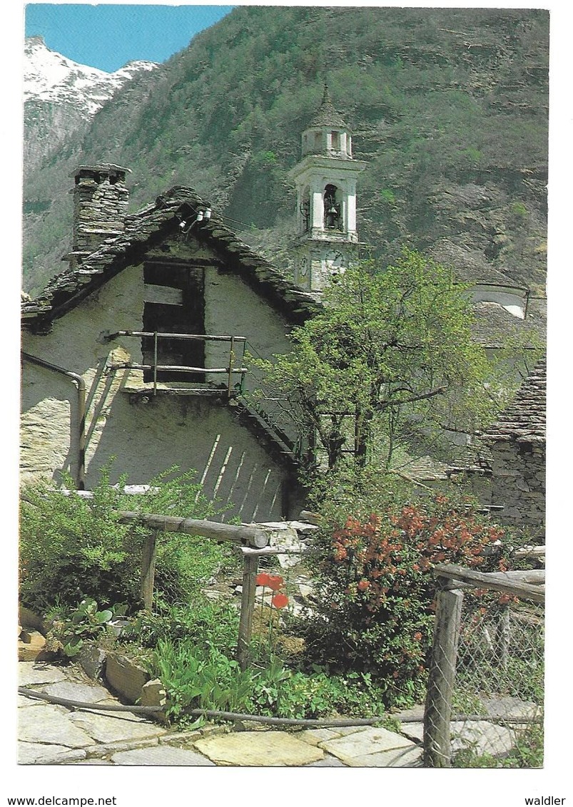 TI 6637  SONOGNO, VAL VERZASCA  1980 - Sonogno