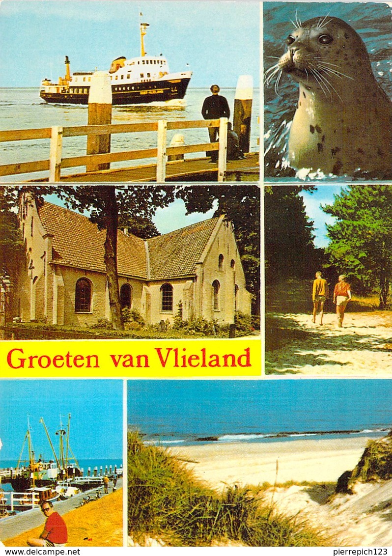 Vlieland - Multivues - Vlieland