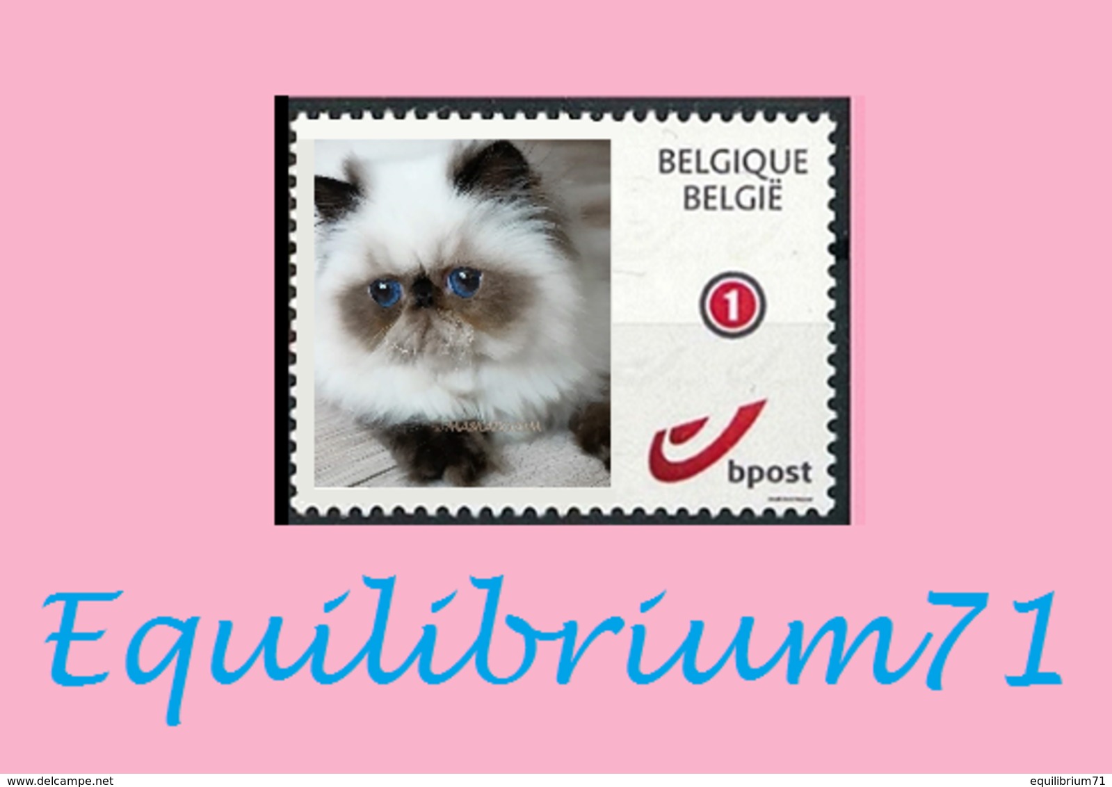 DUOSTAMP** / MYSTAMP** - Chat Persan / Perzische Kat / Persian Cat / Perserkatze - Autres & Non Classés