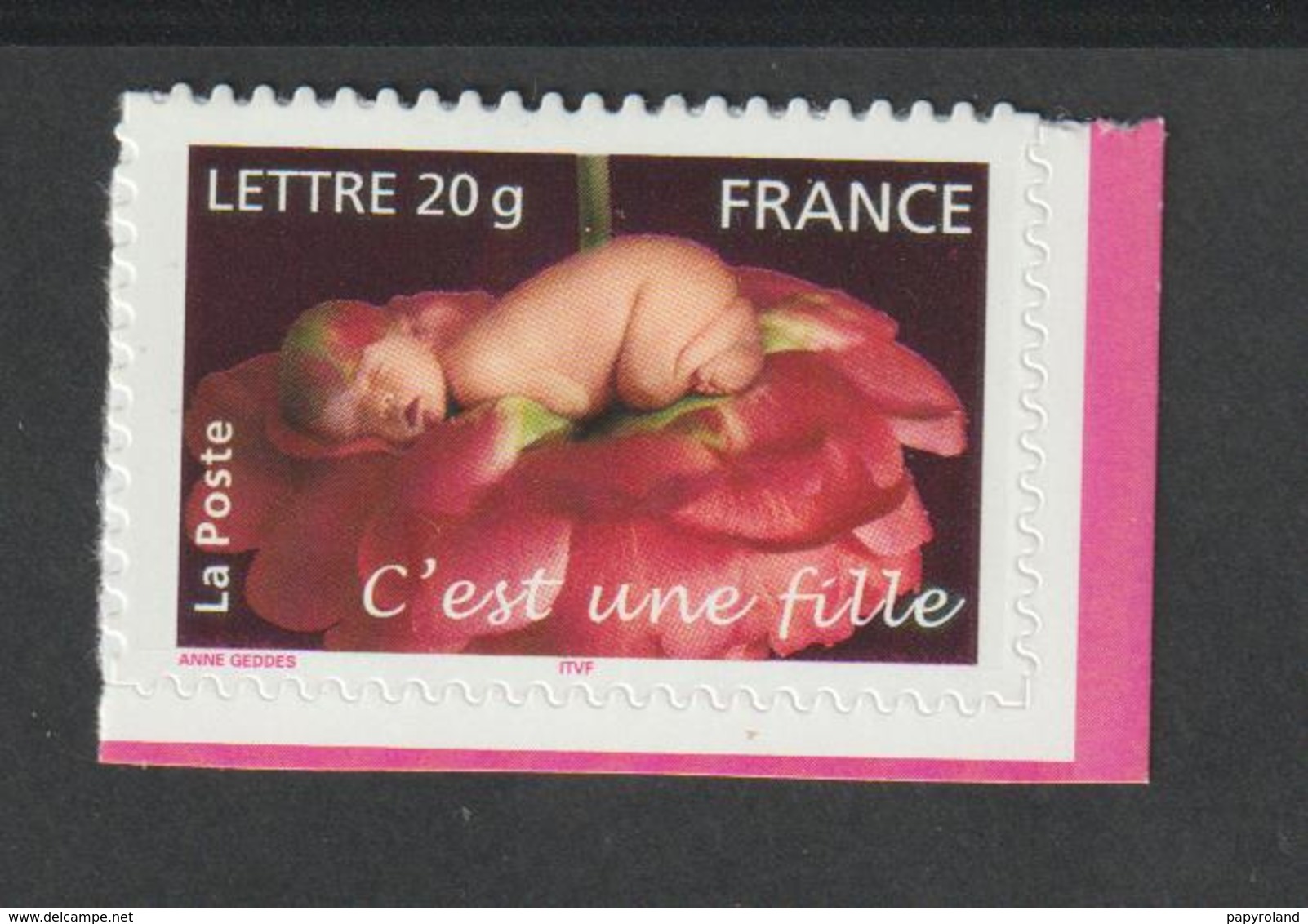 Timbre Adhésif   - 54-        -  2005  -         Timbres De Naissances   " C' Est Une Fille " - Autres & Non Classés