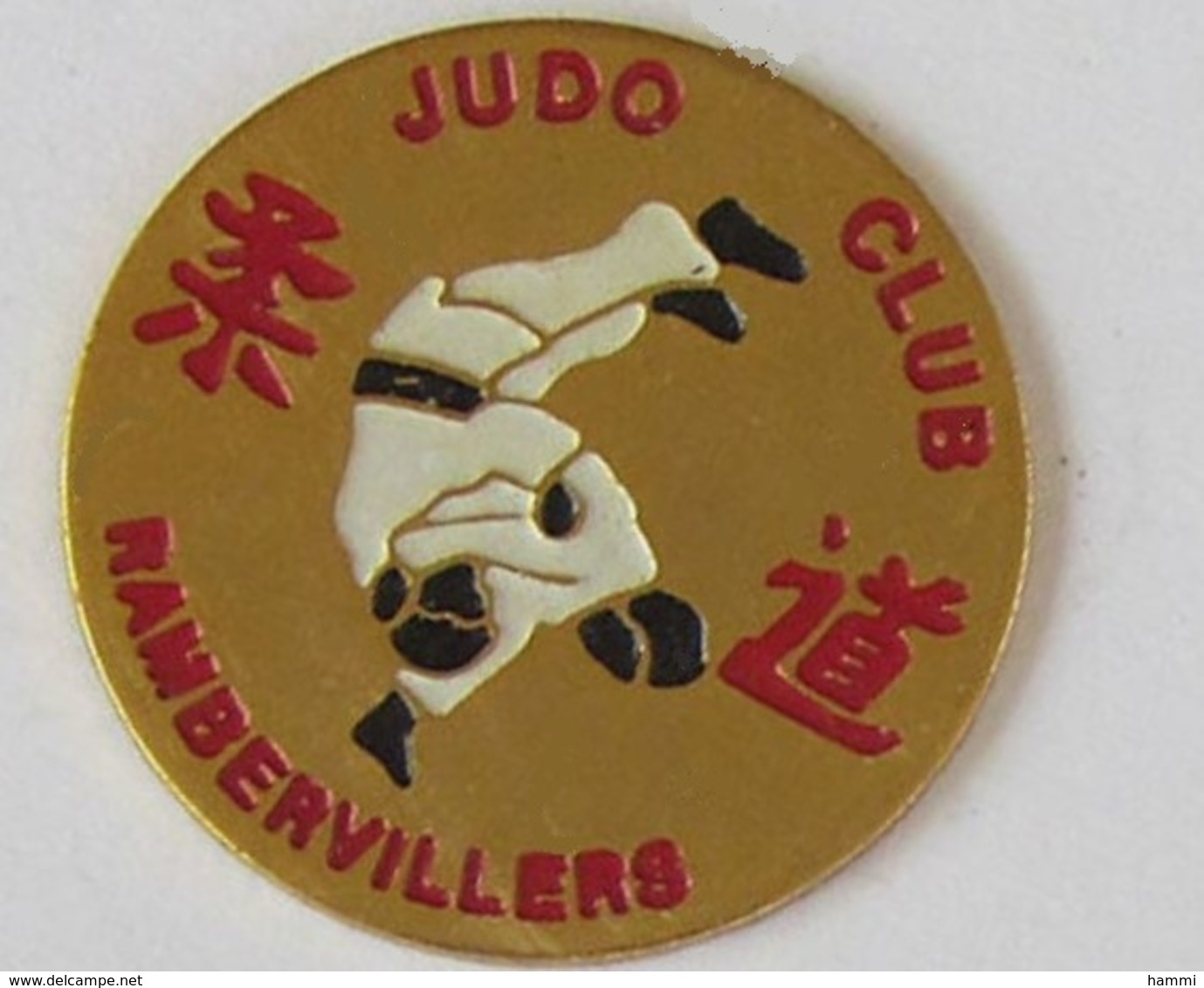 C40 Pin's JUDO Club De RAMBERVILLERS Vosges Achat Immédiat - Judo
