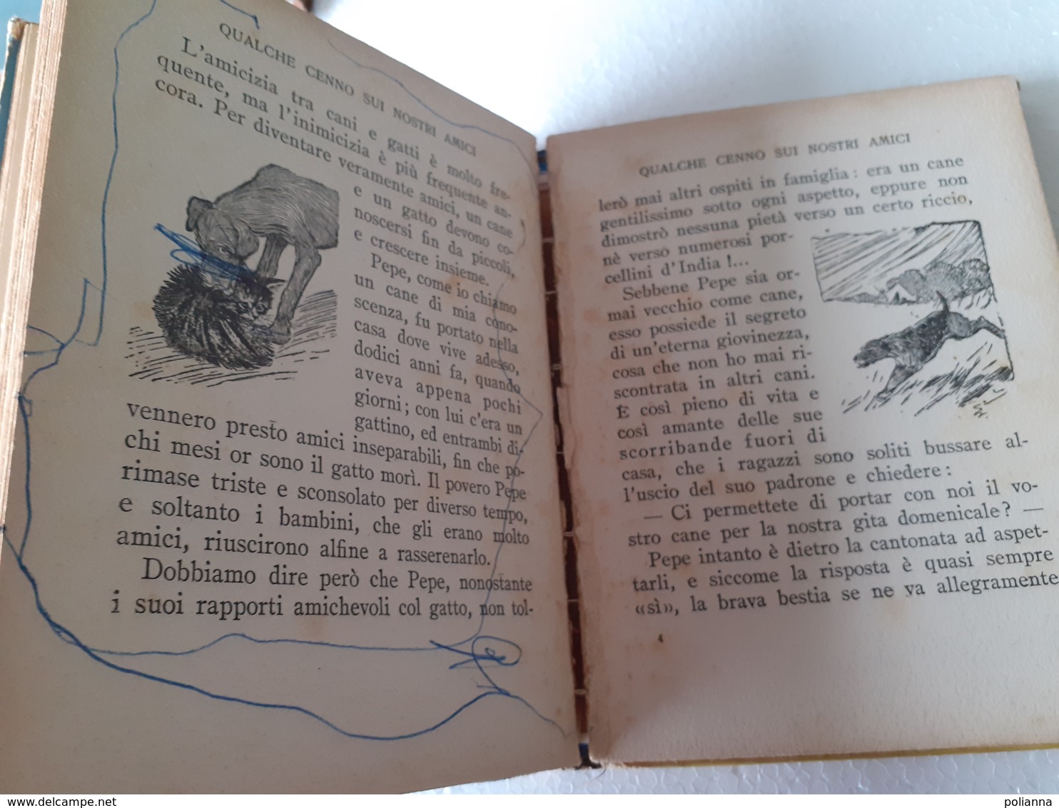 M#0W56 "Piccoli Libri Giganti" : I NOSTRI AMICI Salani Ed.1941/CANI/DOGS - Antiquariat