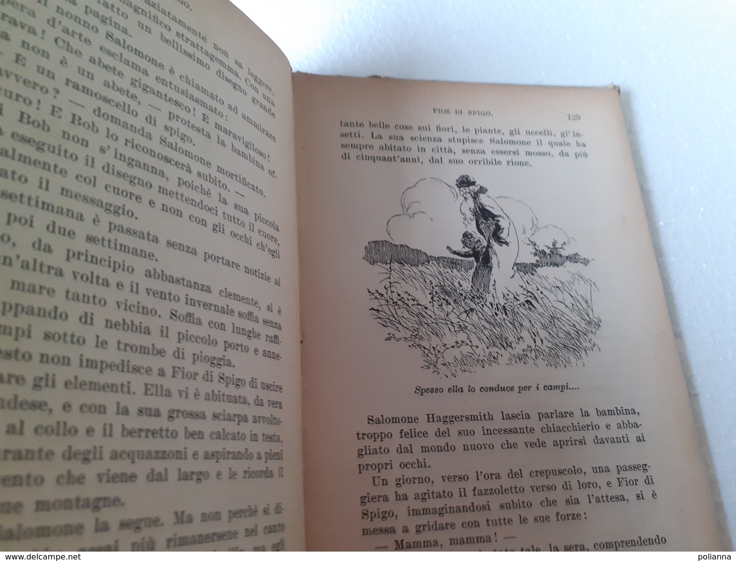 M#0W66 "Biblioteca Dei Miei Ragazzi" : C.Richter FIOR DI SPIGO Salani Ed.1937/Illustrazioni M.A.Cavalieri - Antiquariat