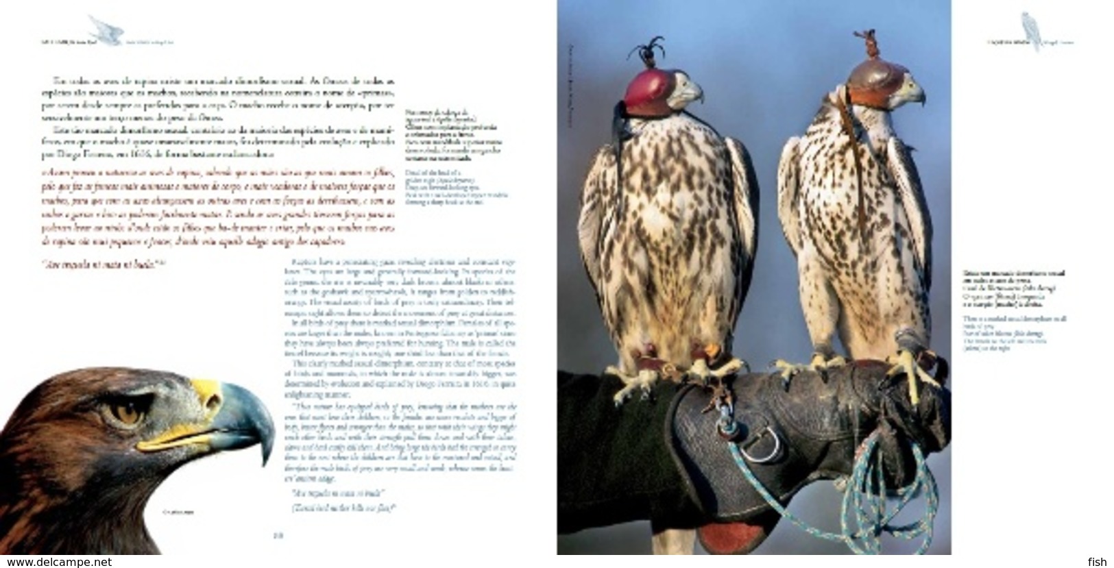 Portugal ** & CTT, Thematic Book With Stamps, Falconry Real Art 2013 (86423) - Book Of The Year
