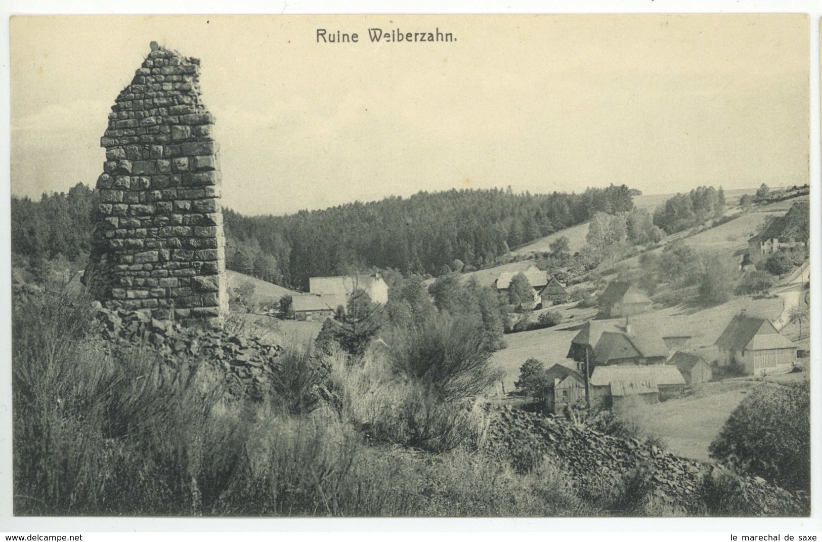 Foto Ansichtskarte Ruine Weiberzahn Königsfeld Freiburg Breisgau Um 1900/1920 - Freiburg I. Br.
