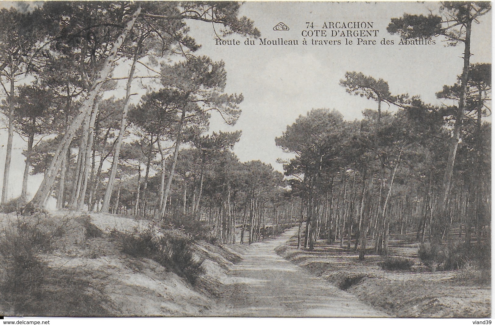 Arcachon - Cote D'Argent : Toute De Moulleau à Travers Le Parc Des Abatilles - écrite Février 1930 - Arcachon