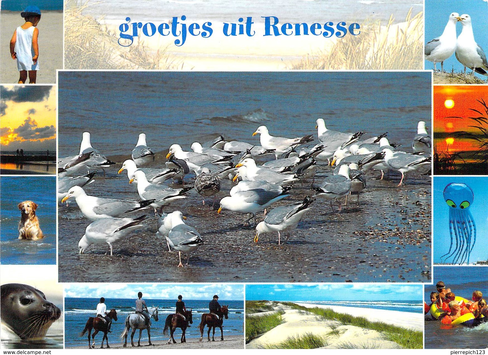 Renesse - Multivues - Renesse