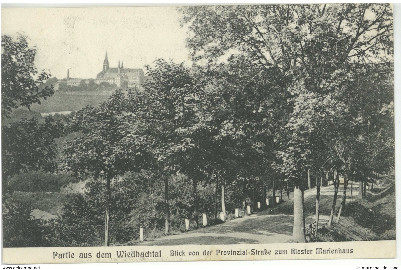 Waldbreitbach Partie Aus Dem Wiedbachtal 1911? Hegemann Neuenahr - Neuwied