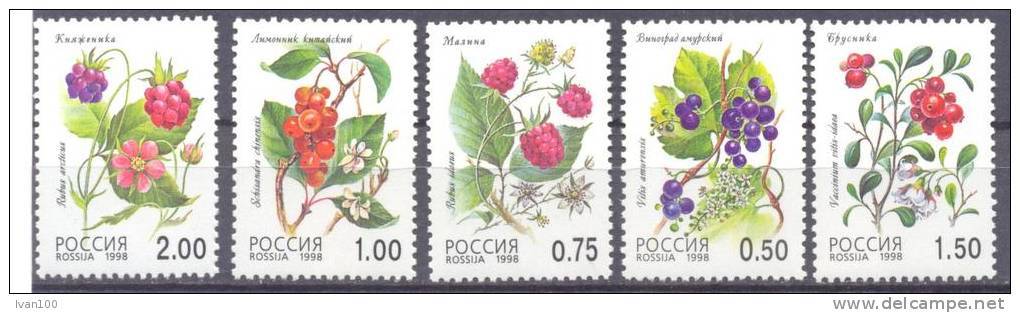 1998. Russia, Wild Berries, 5v Mint/** - Unused Stamps