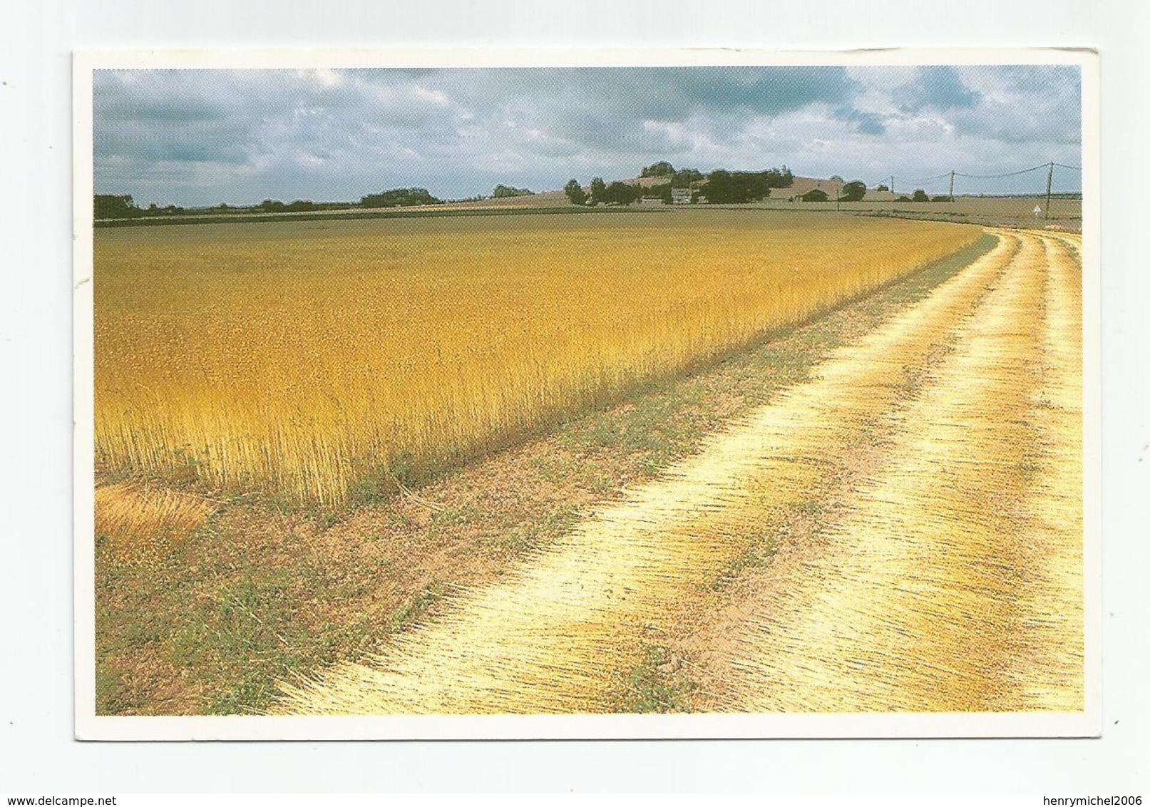 49 Maine Et Loire Doue Récolte De Lin - Doue La Fontaine