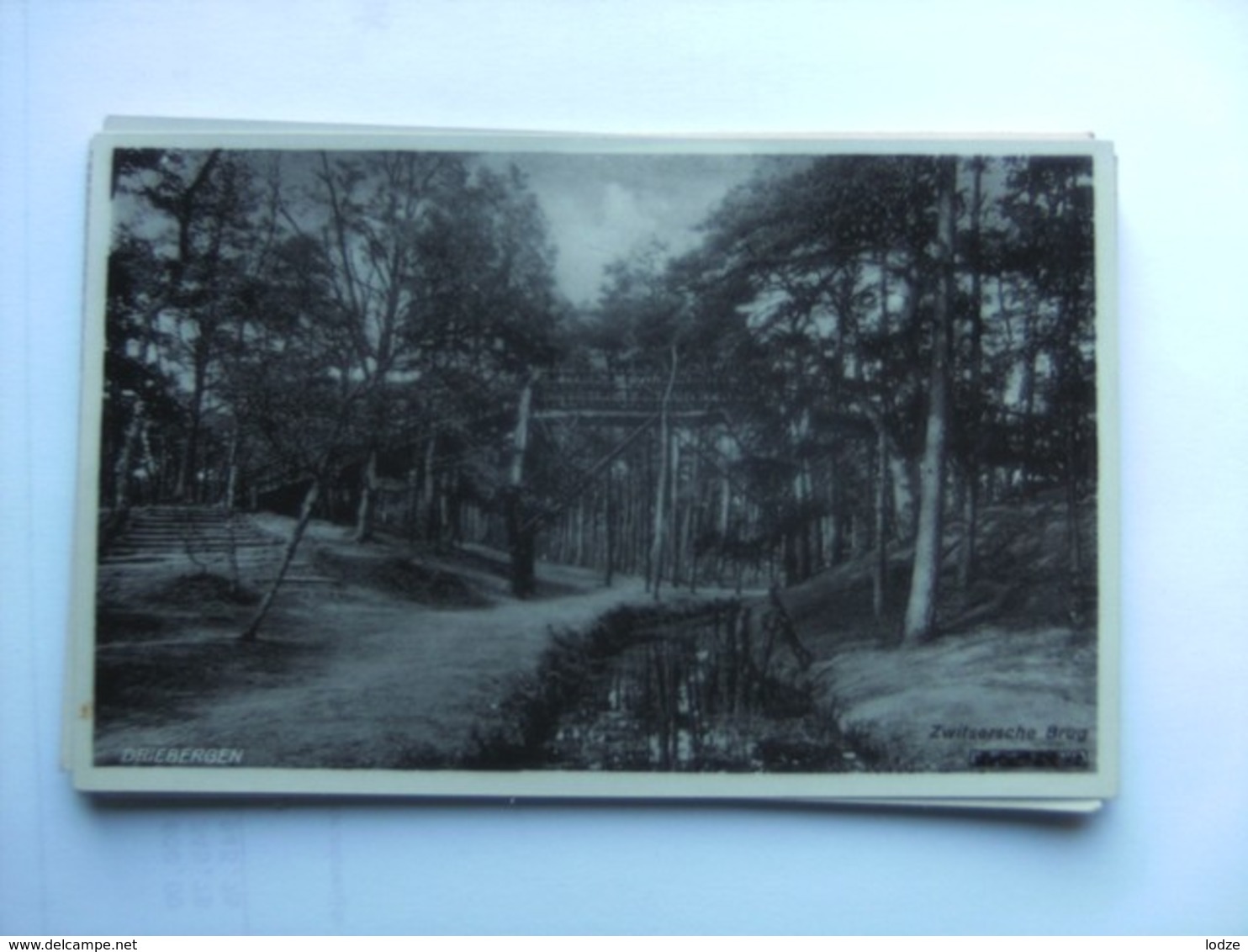 Nederland Holland Pays Bas Driebergen Met Zwitsersche Brug In Het Bos - Driebergen – Rijsenburg