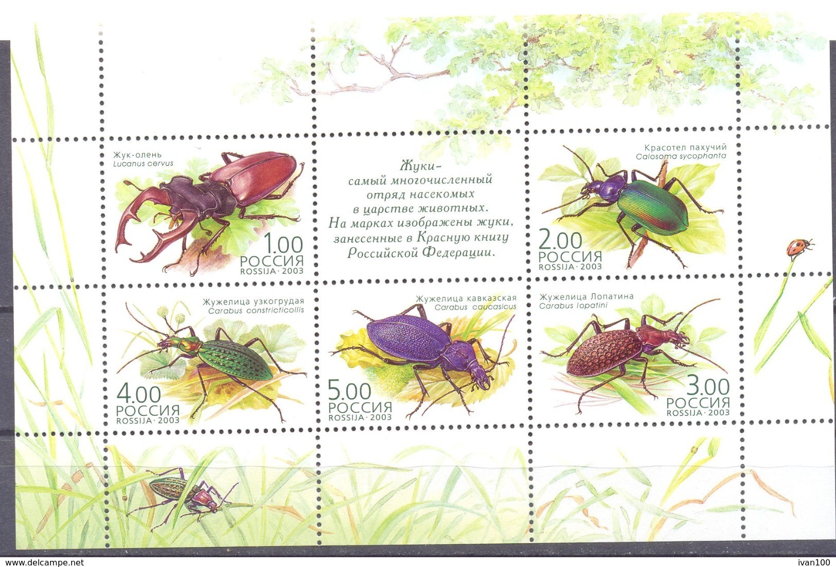 2003. Russia, Beetles, S/s, Mint/** - Ungebraucht