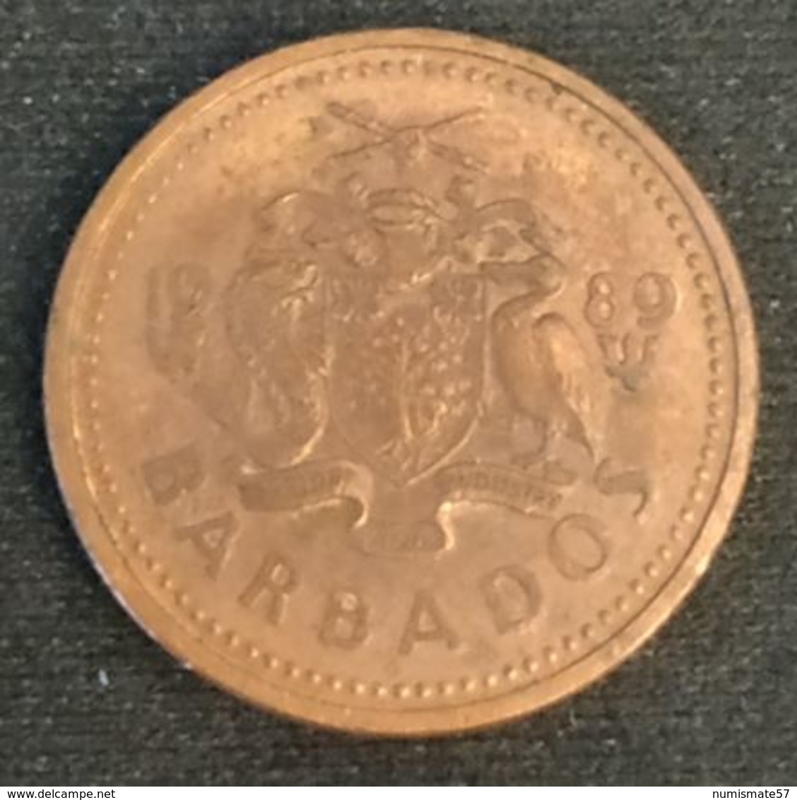 BARBADE - BARBADOS - 1 CENT 1989 - KM 10 - Barbades