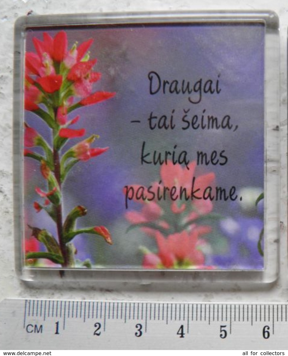 Magnet Lithuania Flowers - Sonstige & Ohne Zuordnung