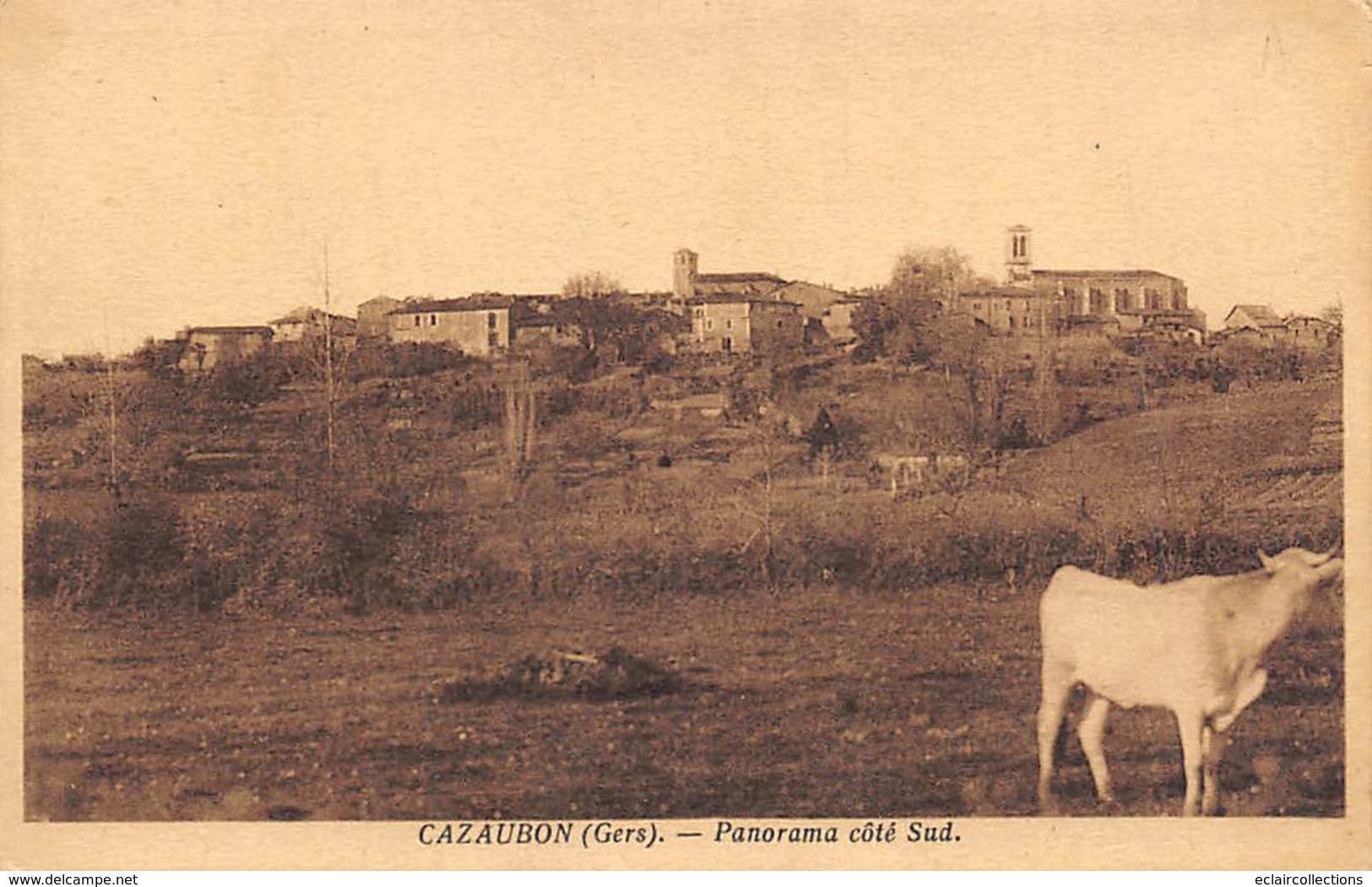 Cazaubon         32              Panorama  Côté Sud        (Voir Scan) - Sonstige & Ohne Zuordnung