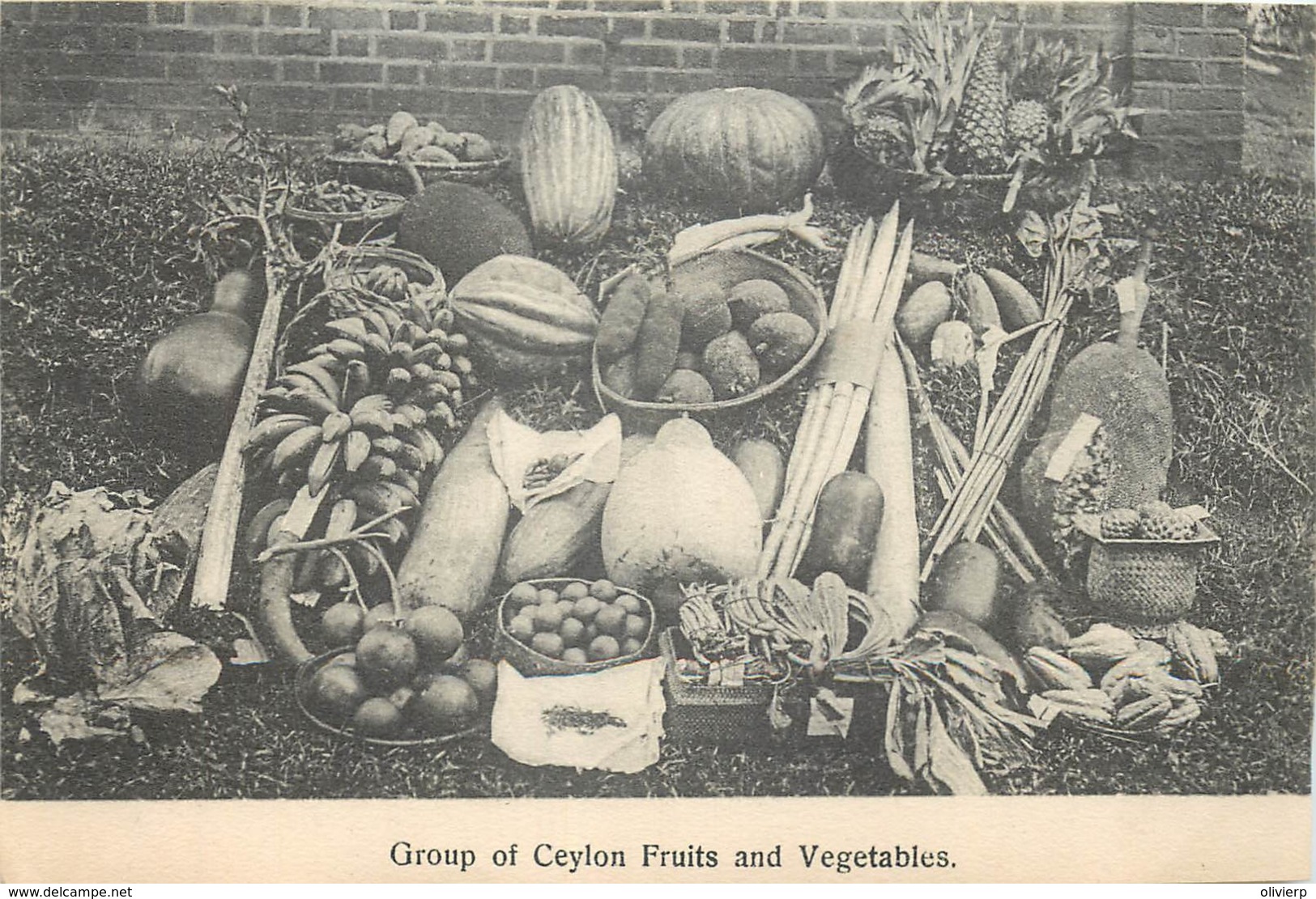 Sri Lanka - Ceylon - Group Of Ceylon Fruits And Vegetables - ( Sans Feuille Du Verso - Without Back Sheet ) - Sri Lanka (Ceylon)