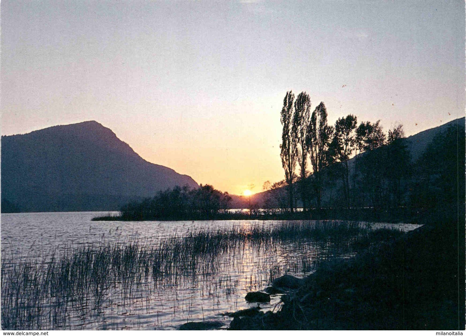 Lauerzsee 1988 - Lauerz