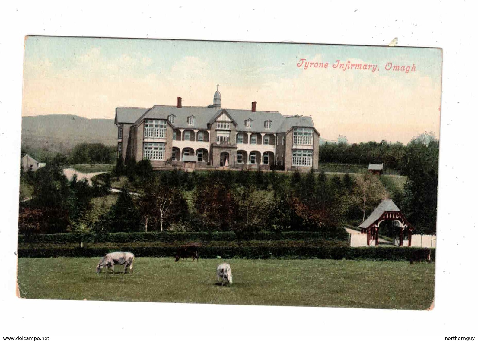 OMAGH, County Tyrone, Ireland, Tyrone Infirmary, Pre-1920  Postcard - Tyrone