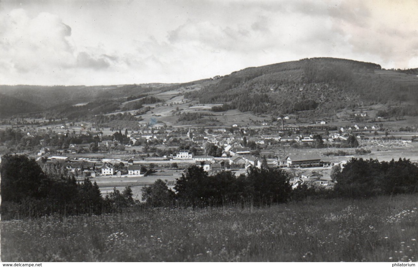 88  GRANGES Sur VOLOGNE  Vue Générale - Granges Sur Vologne