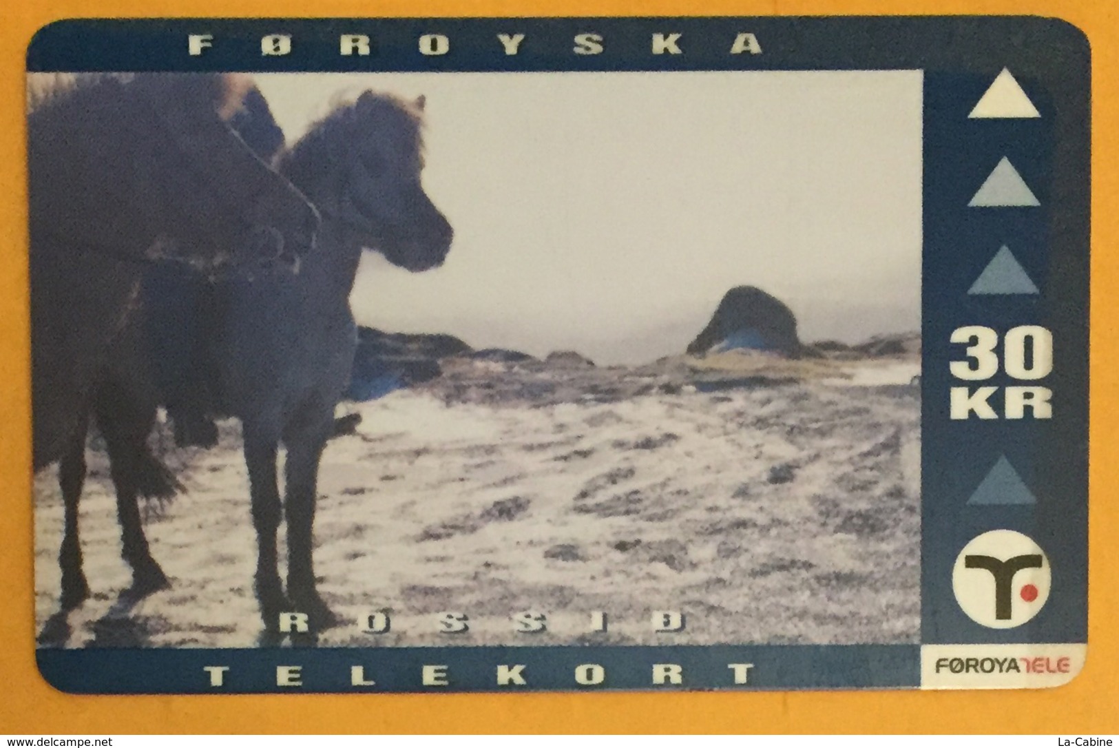 ÎLE FÉROÉ FAROE ISLAND HORSE CHEVAL TELEKORT TELEPHONVERK PHONE CARD UT TELECARTE - Faroe Islands