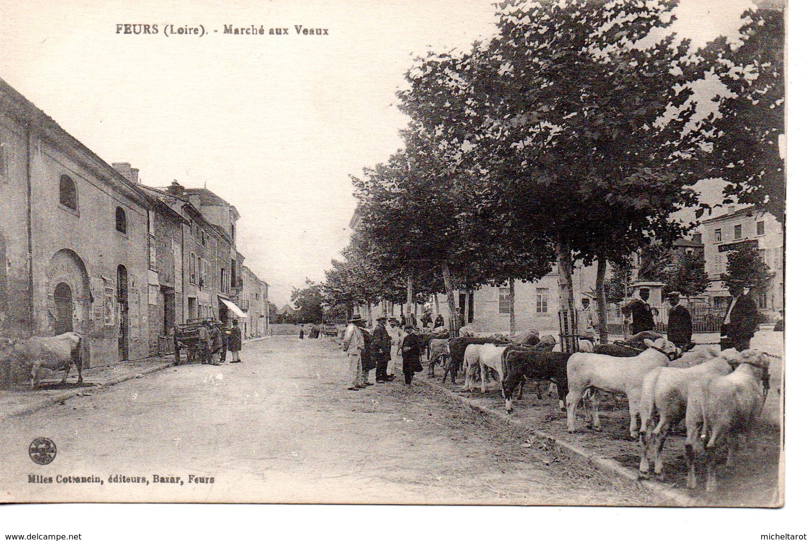 Loire : Feurs : Marché Aux Veaux - Feurs