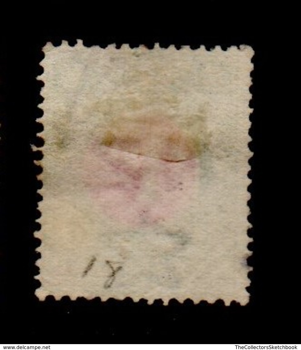 New Zealand Postage Due 1d  Green On Chalky - Segnatasse