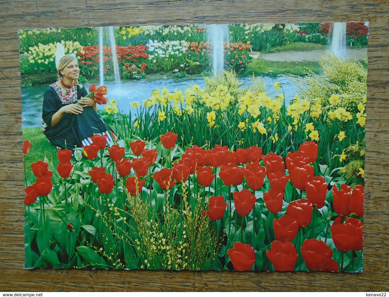 Pays-bas , Tulipshow , Frans Roozen , Vogelenzang , Holland - Bloemendaal