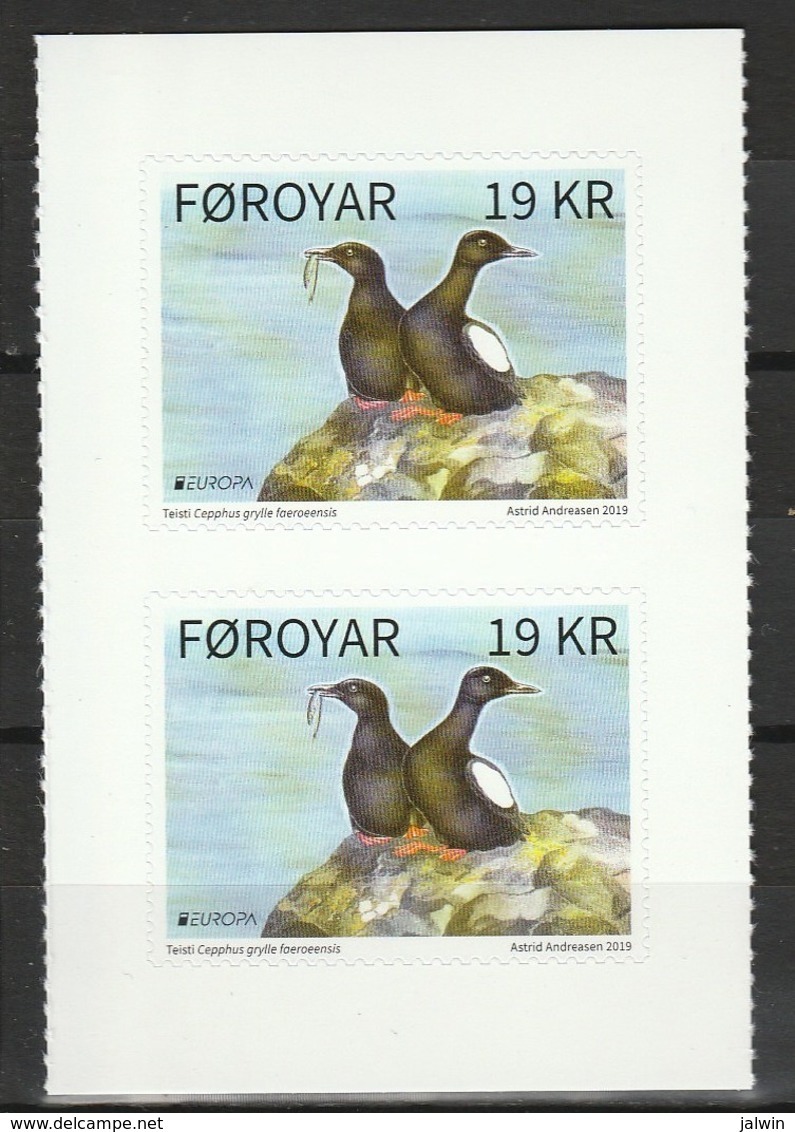 ILES FEROE 2019 SERIE Europa OISEAUX ** Auto-adhésif Provenant Du Carnet - Féroé (Iles)