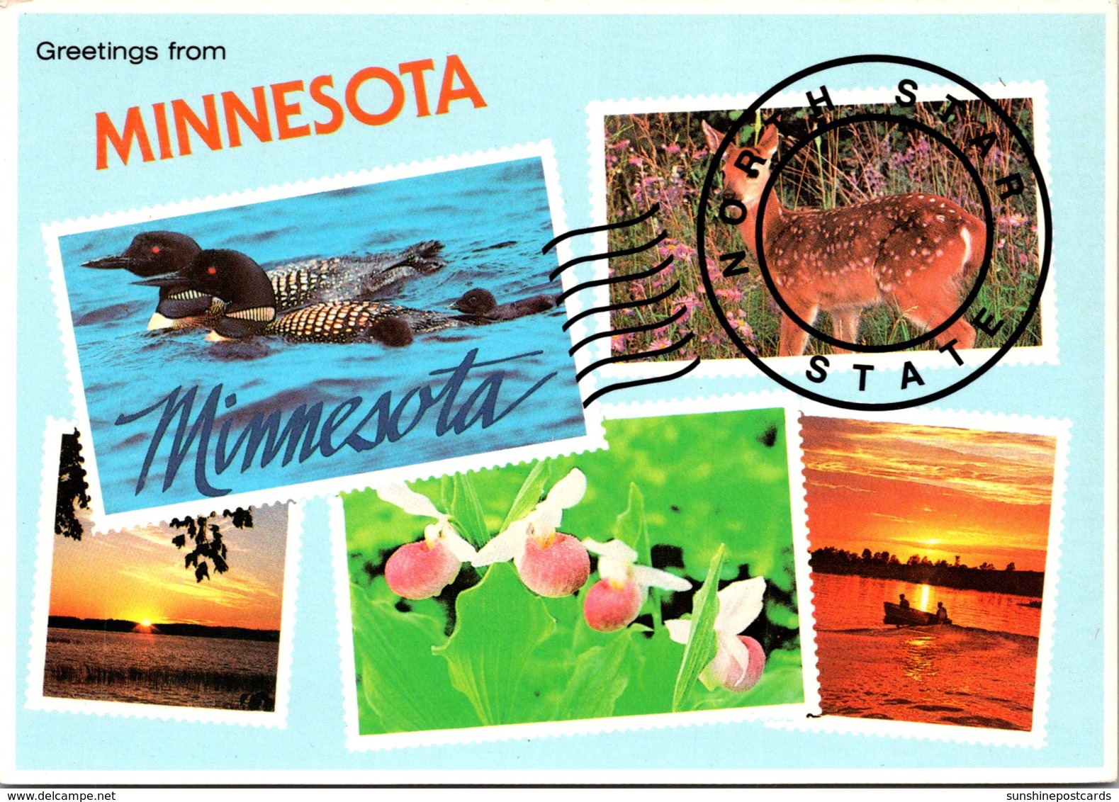 Minnesota St Paul Greetings From The North Star State Multi VIew - St Paul
