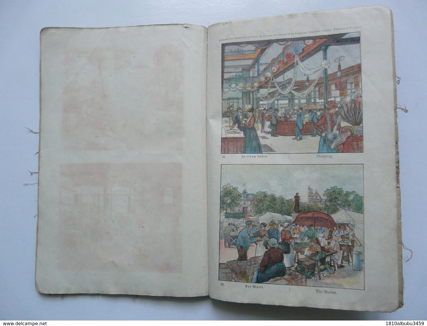 ALBUM DE PLANCHES EN COULEUR - COURS SCHWEITZER (Langue Anglaise - Langue Allemande) 1919 - Fiches Didactiques