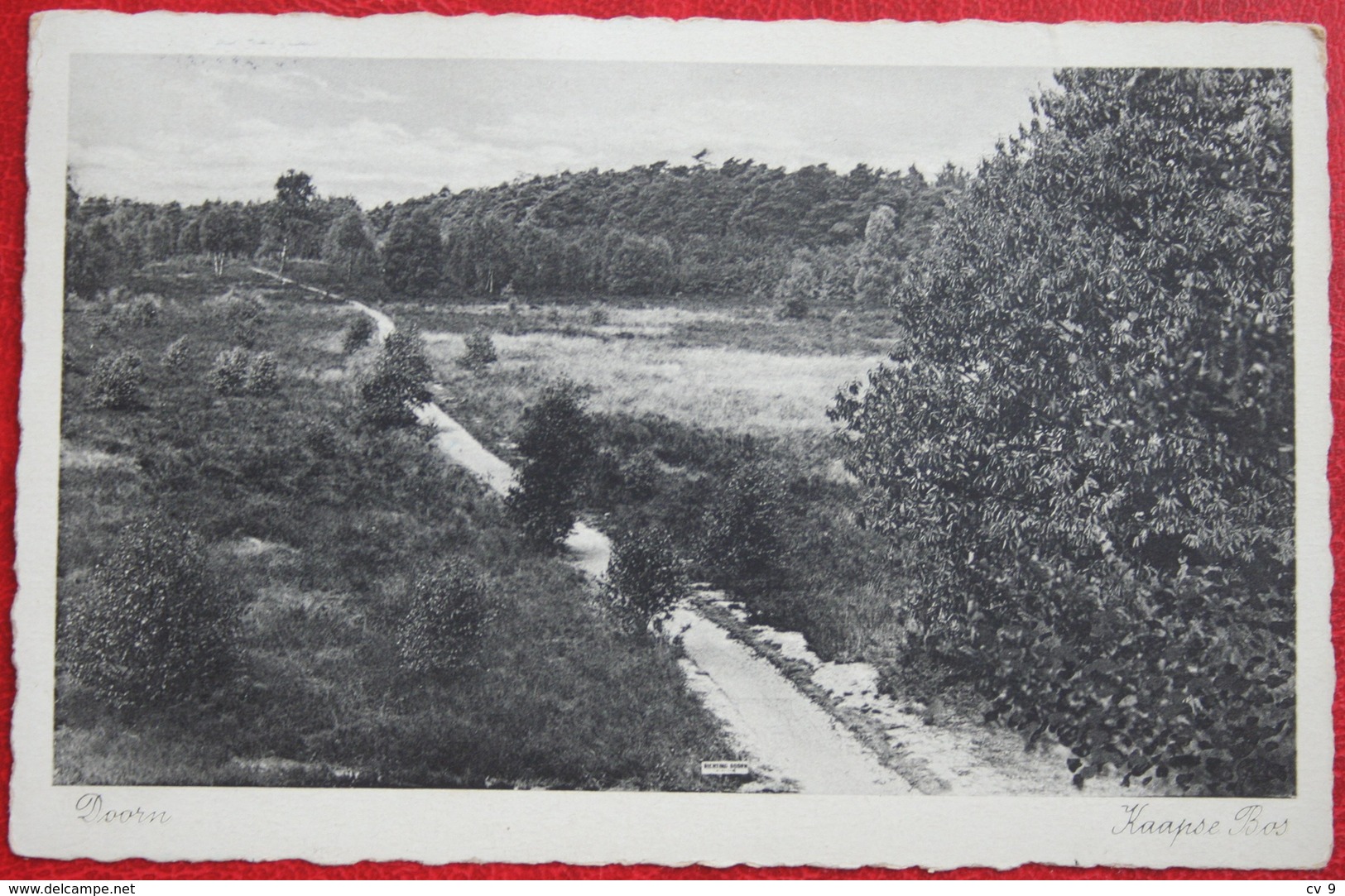 Doorn - Kaapse Bos - Gelopen 1942 - Doorn