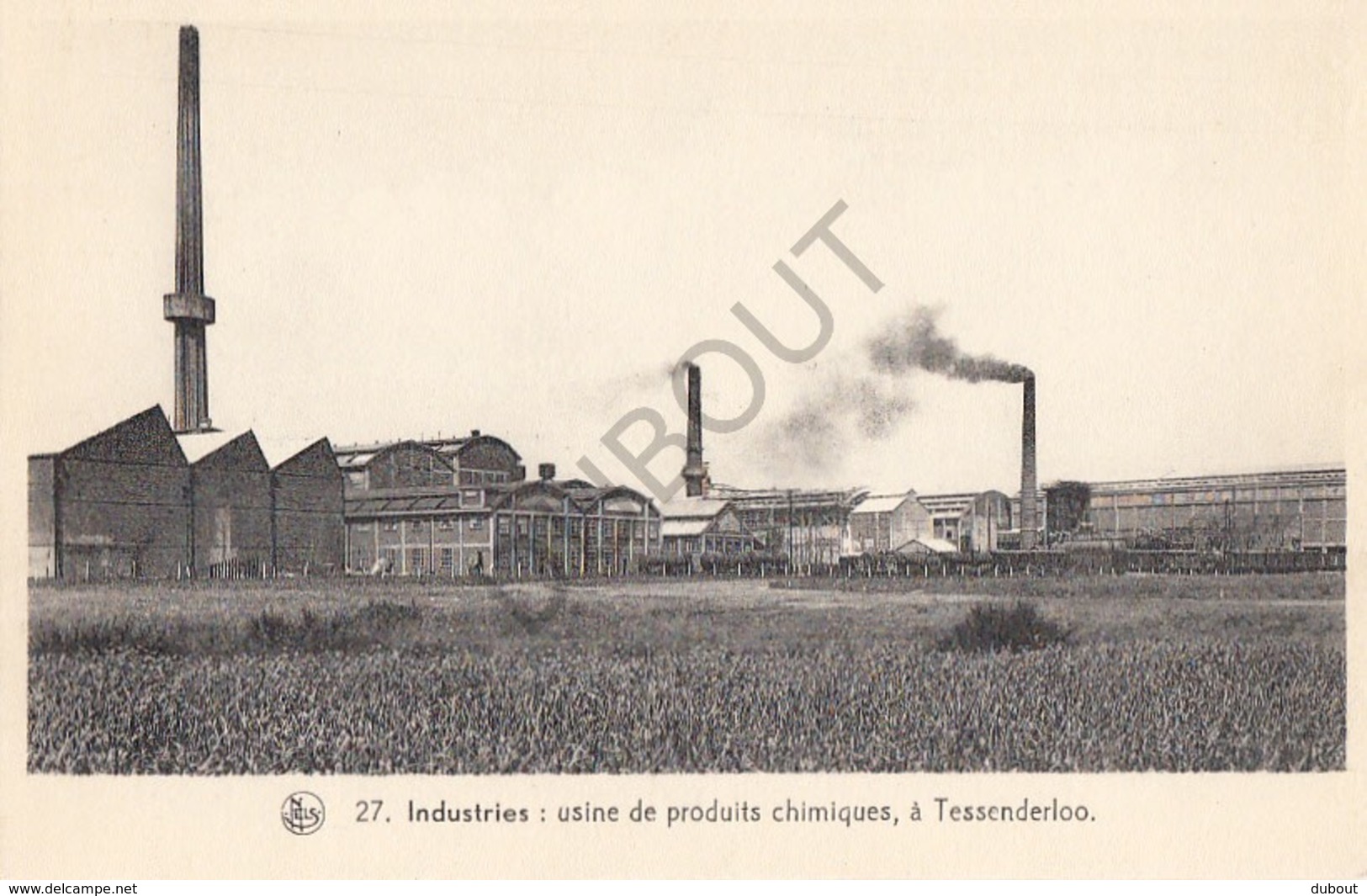 Postkaart/Carte Postale TESSENDERLO Industries Usine De Produits Chimiques  (B81) - Tessenderlo