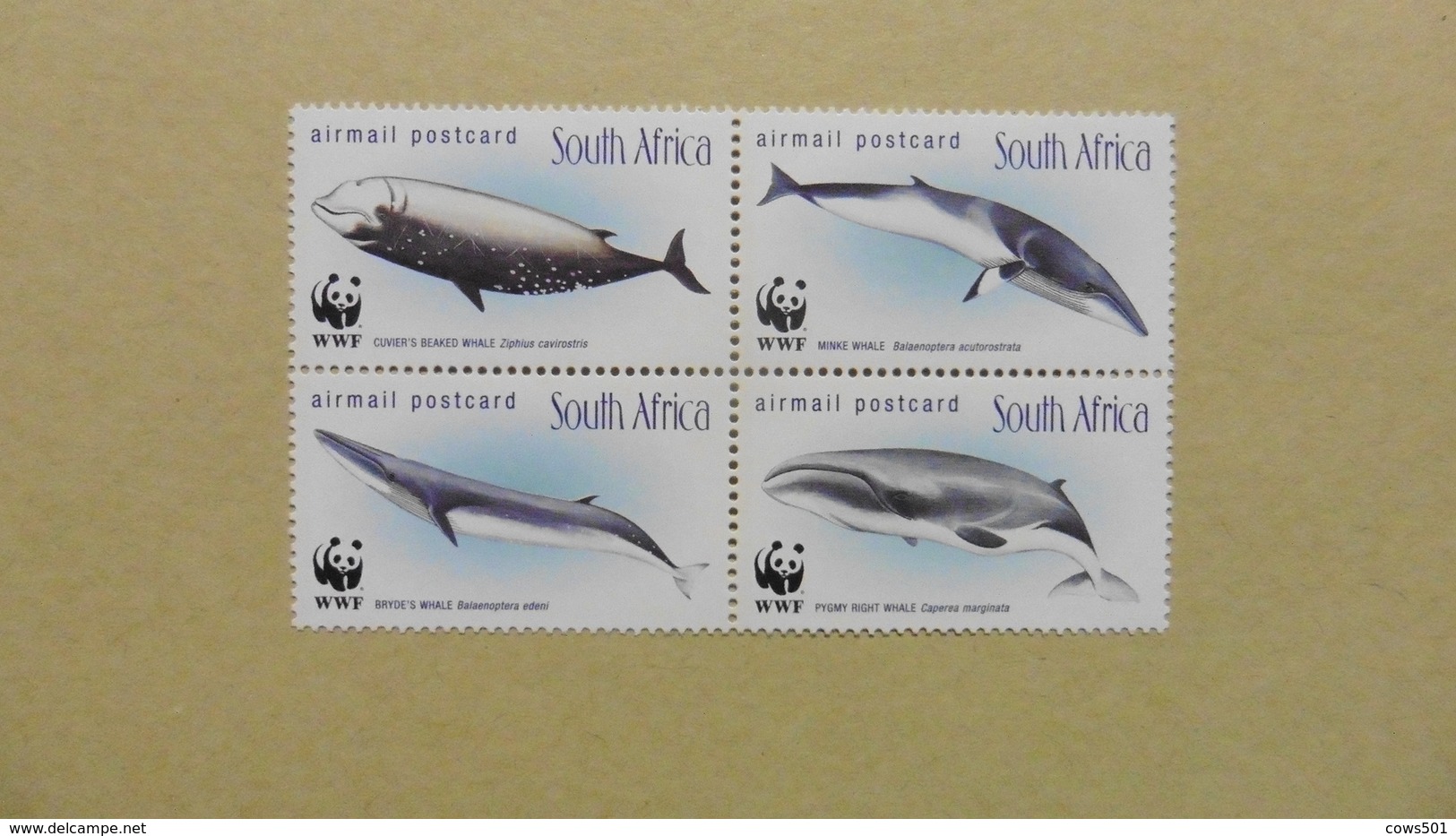 Afrique > Afrique Du Sud :WWF :4 Timbres Neufs :Mamifères Marins - Collezioni & Lotti