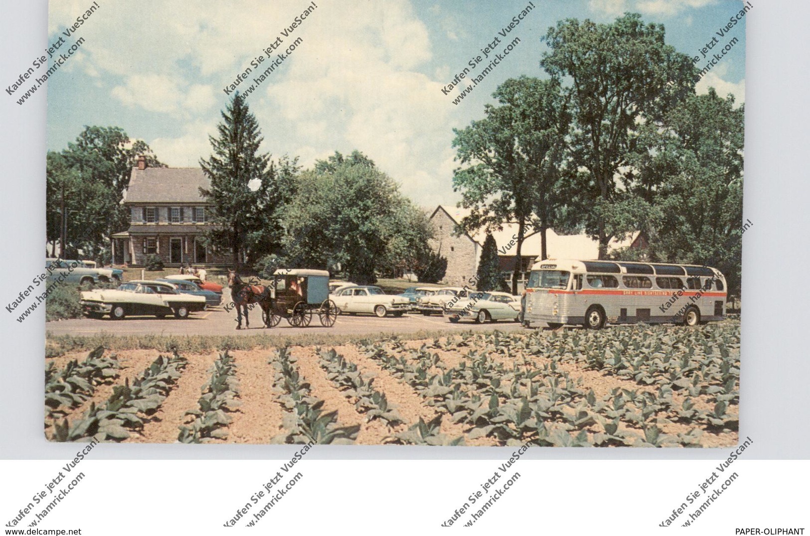 USA - PENNSYLVANIA - LANCASTER, Amish Country, Amish Farm Exhibit, Oldtimer US-Cars - Lancaster